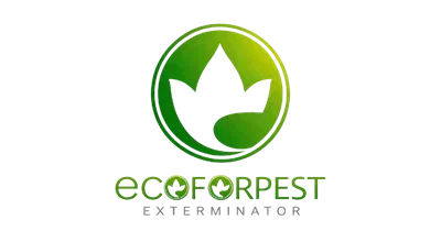 PT ECODWI JAYA ABADI